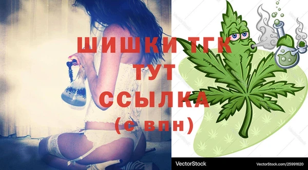 спиды Волосово