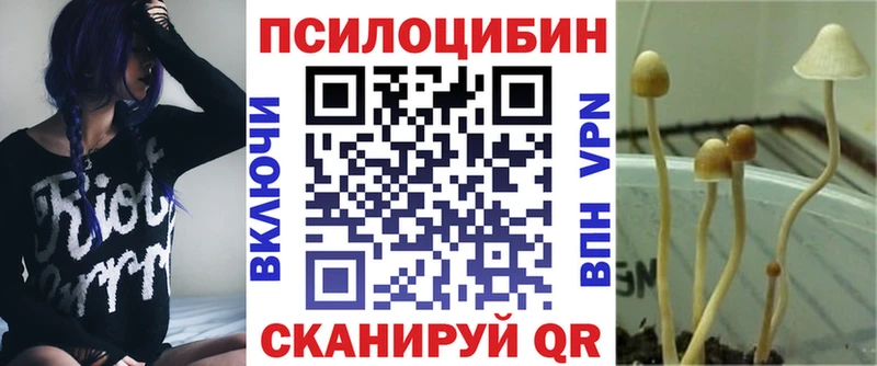 Купить  Энем  Галлюциногенные грибы Psilocybine cubensis 
