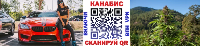 Шишки марихуана OG Kush  Купить закладки  Энем 
